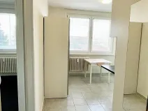 Pronájem bytu 1+1, Olomouc, U cukrovaru, 32 m2