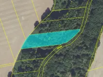 Dražba louky, Květnice, 3052 m2