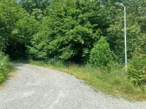 Dražba pozemku, Chlum, 12440 m2