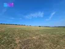 Prodej louky, Málkov, 20000 m2