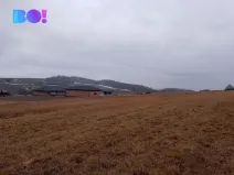 Prodej louky, Málkov, 20000 m2