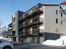 Prodej bytu 1+kk, Loučná nad Desnou - Rejhotice, 28 m2