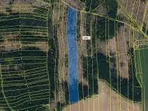 Dražba lesa, Žirovnice, 19314 m2