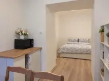 Pronájem bytu 1+kk, Brno, Francouzská, 25 m2