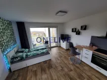 Pronájem bytu 1+kk, Plzeň, Na Chmelnicích, 35 m2