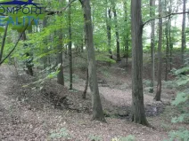 Prodej lesa, Havířov - Životice, Olšová, 5996 m2