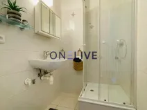 Prodej bytu 2+1, Karlovy Vary, K. Čapka, 55 m2