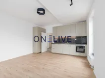 Pronájem bytu 3+kk, Plzeň, Železná, 59 m2