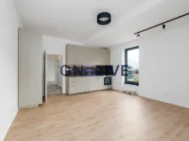 Pronájem bytu 3+kk, Plzeň, Železná, 59 m2