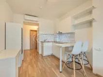 Prodej bytu 1+kk, Praha - Smíchov, Radlická, 25 m2