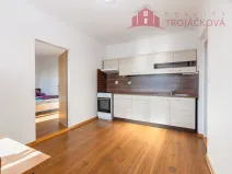 Prodej bytu 1+1, Ostrava, 48 m2