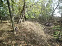 Prodej pozemku, Dolní Břežany, Keltská, 3508 m2