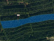 Dražba lesa, Žirovnice, 5755 m2