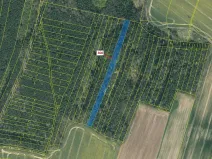 Dražba lesa, Vesce, 5196 m2