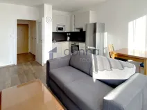 Pronájem bytu 2+kk, Praha, Kpt. Stránského, 44 m2