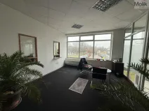 Pronájem obchodního prostoru, Most, Moskevská, 41 m2