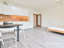 Pronájem bytu 1+kk, Brno - Sadová, Moskalykova, 41 m2