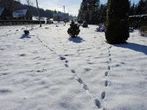 Prodej pozemku pro bydlení, Teplice nad Metují - Bohdašín, 1014 m2
