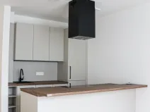 Pronájem bytu 1+kk, Plzeň, 45 m2