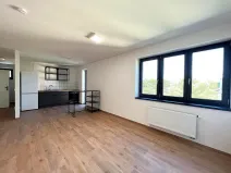 Pronájem bytu 2+kk, Brno - Štýřice, Sovinec, 53 m2