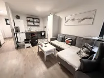 Pronájem bytu 2+kk, Brno - Štýřice, Sovinec, 53 m2