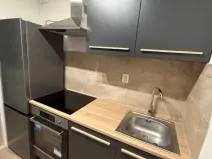 Prodej bytu 1+1, Most, K. H. Borovského, 21 m2