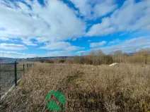 Pronájem komerčního pozemku, Drmoul, Písková, 1863 m2