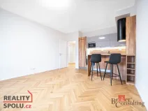 Pronájem bytu 2+kk, Brno - Staré Brno, Nové sady, 59 m2