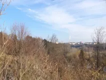 Dražba louky, Tábor, 1007 m2