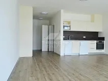 Pronájem bytu 1+kk, Plzeň, Na Roudné, 50 m2