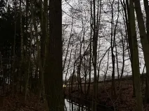 Prodej lesa, Předslav, 6263 m2