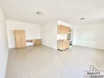 Pronájem bytu 1+kk, Olomouc, Dolní hejčínská, 39 m2