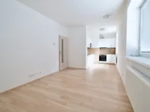 Pronájem bytu 1+kk, Brno - Žebětín, Přírodní, 32 m2