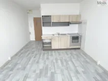 Prodej bytu 1+kk, Most, U Věžových domů, 22 m2