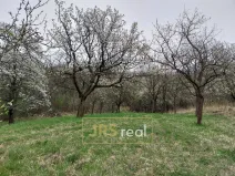 Prodej pozemku, Blučina, 4446 m2