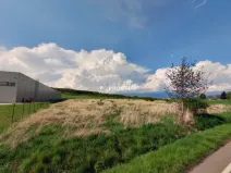 Prodej komerčního pozemku, Cerhovice, Plzeňská, 9984 m2