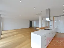 Pronájem bytu 4+kk, Praha - Vinohrady, Laubova, 454 m2