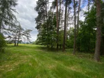 Prodej lesa, Blížejov - Lštění, 6627 m2