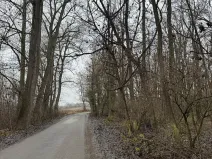 Prodej podílu lesa, Mutěnice, 1819 m2