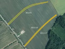 Prodej podílu pole, Starý Poddvorov, 6005 m2