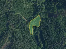 Prodej pole, Jílové u Držkova, 27556 m2