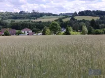 Prodej zemědělského objektu, Pavlov, 2020000 m2