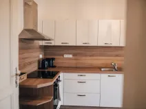 Pronájem bytu 1+1, Olomouc - Pavlovičky, Gorkého, 47 m2