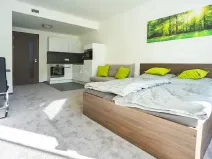Pronájem bytu 1+kk, Praha - Košíře, Hlaváčkova, 32 m2