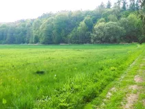 Prodej pozemku pro bydlení, Stavenice, 1905 m2