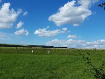 Prodej pozemku pro bydlení, Líšnice, 5077 m2