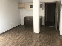 Pronájem bytu 1+kk, České Budějovice, Zavadilka, 31 m2