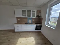 Pronájem bytu 2+kk, Plzeň, Tisová, 67 m2