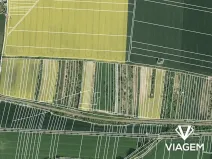 Prodej zahrady, Němčice nad Hanou, 1593 m2