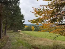 Prodej lesa, Chrášťany, 11900 m2